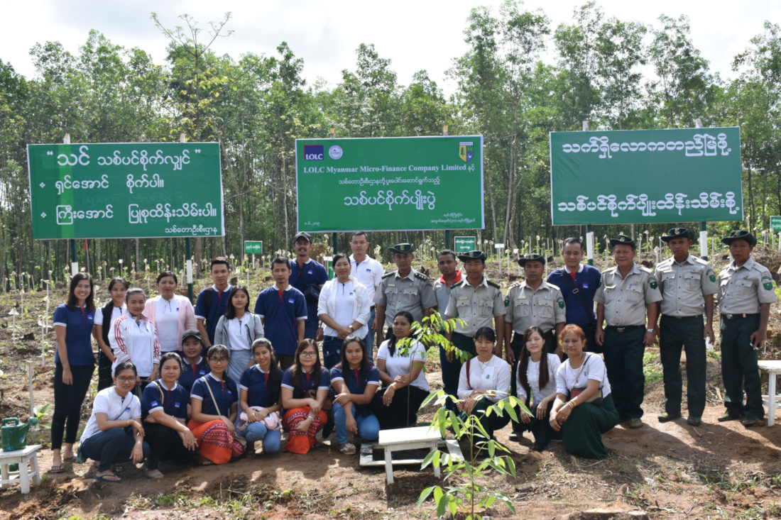 Tree Plantation Day 2019