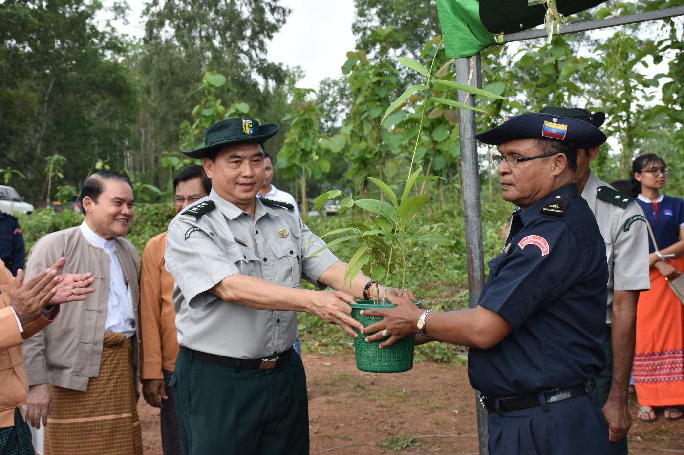 Tree Plantation Day 2019