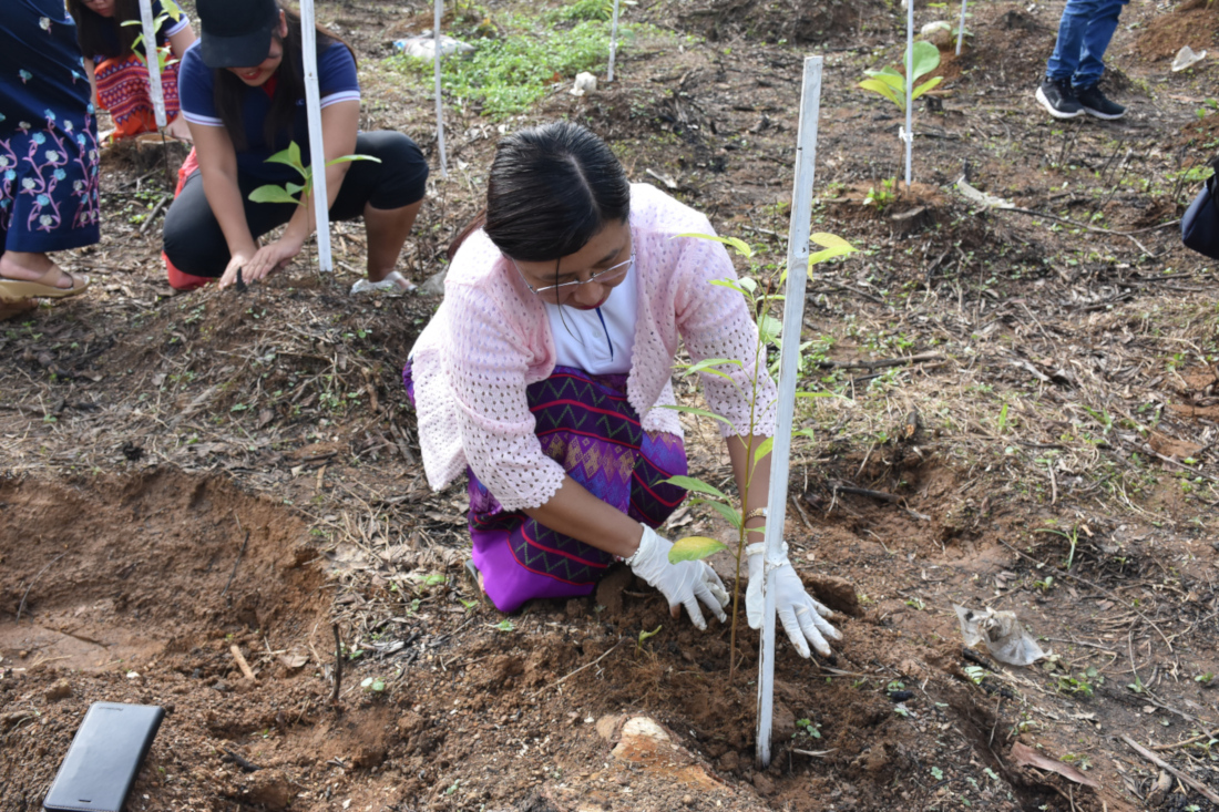 Tree Plantation Day 2019