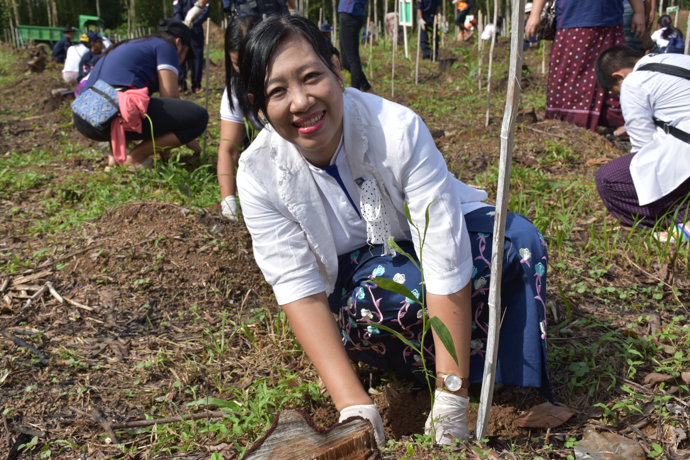 Tree Plantation Day 2019