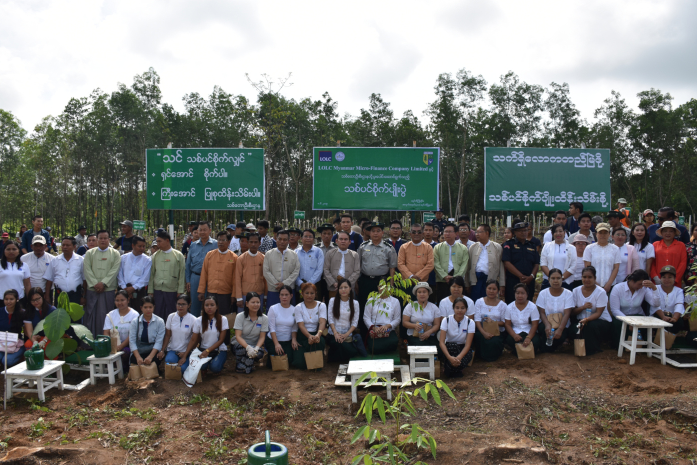 Tree Plantation Day 2019