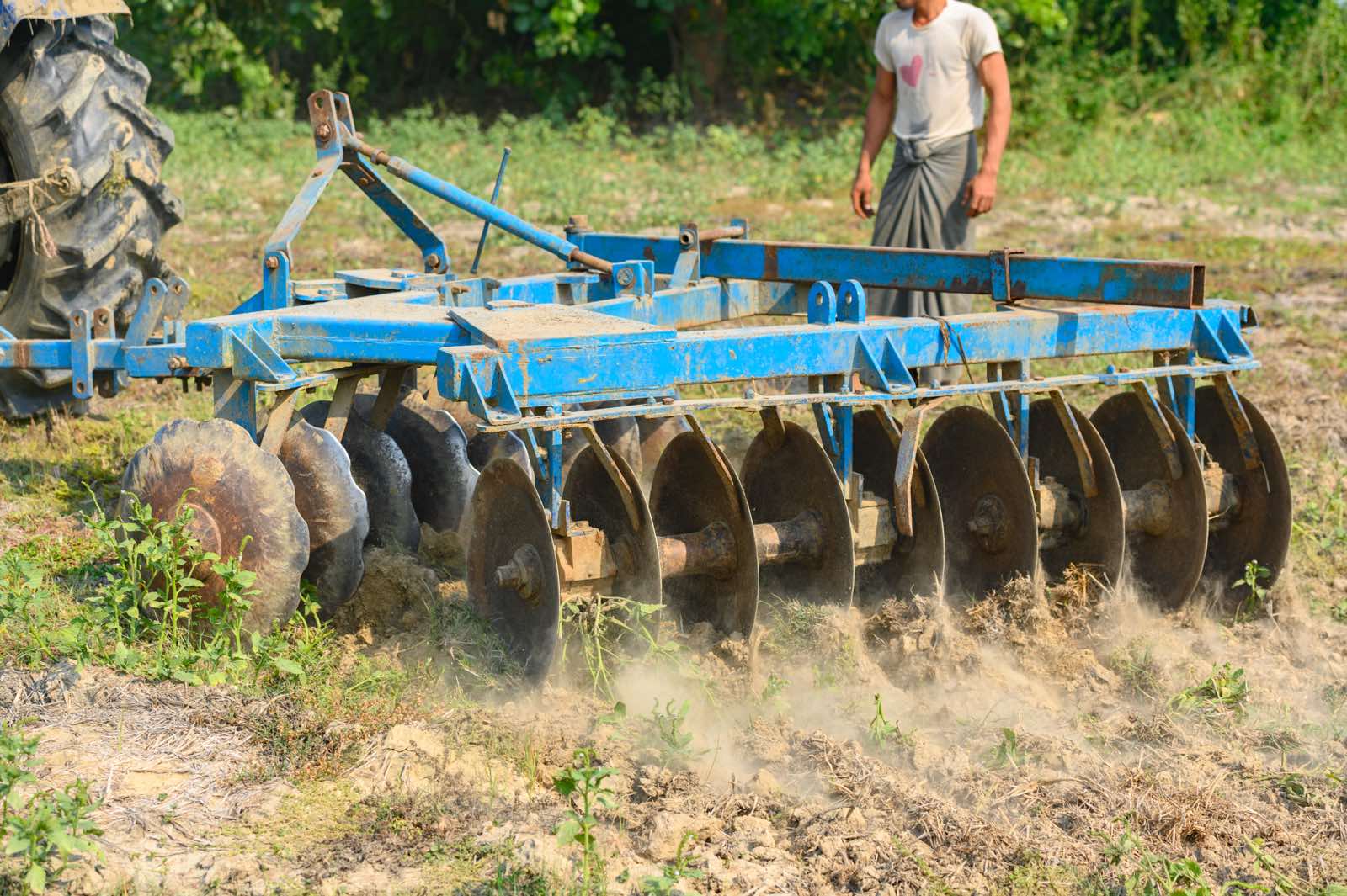 Monsoon agriculture season at Phayargyi branch