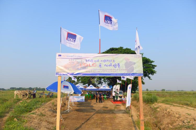 Monsoon agriculture season at Phayargyi branch